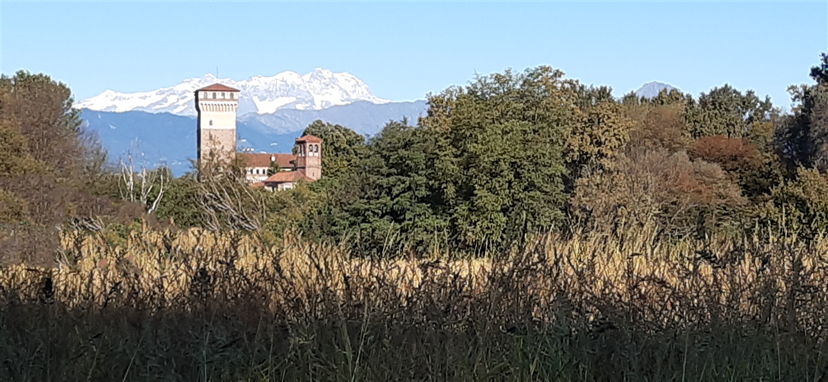 Vista Castello dalla baraggia