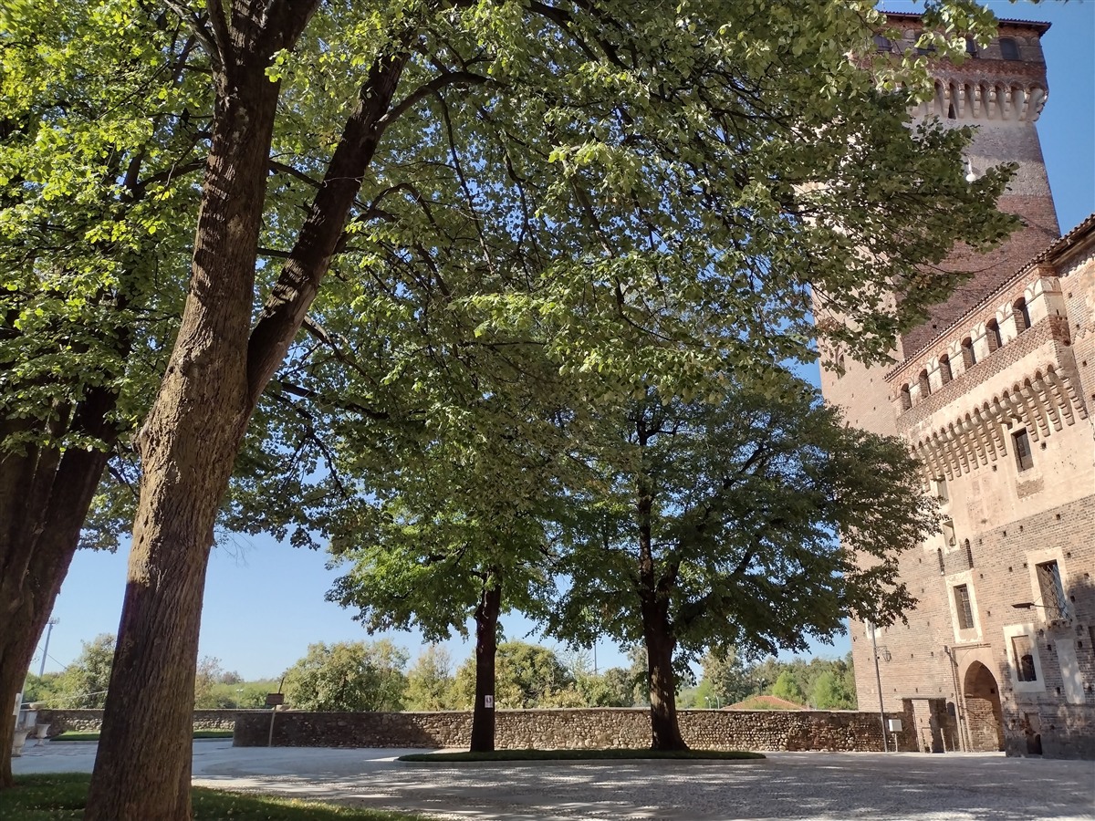 Pza Castello