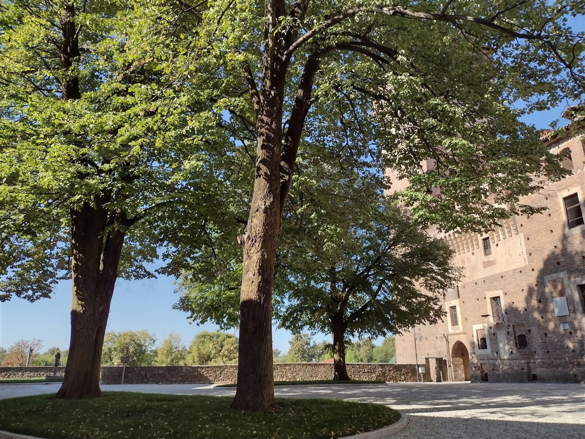 Pza Castello